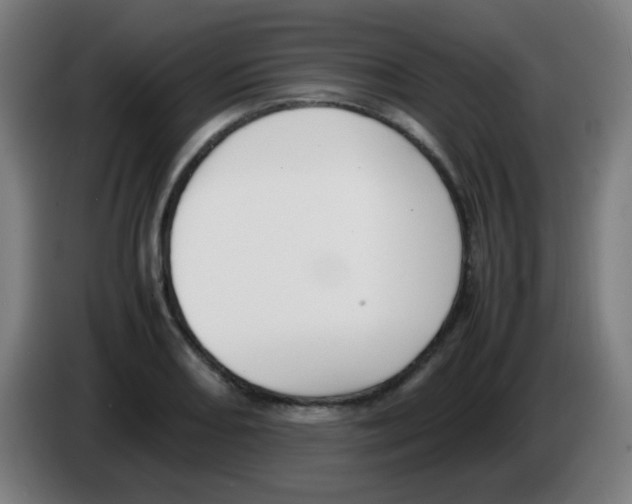 X0000086241082200704261911