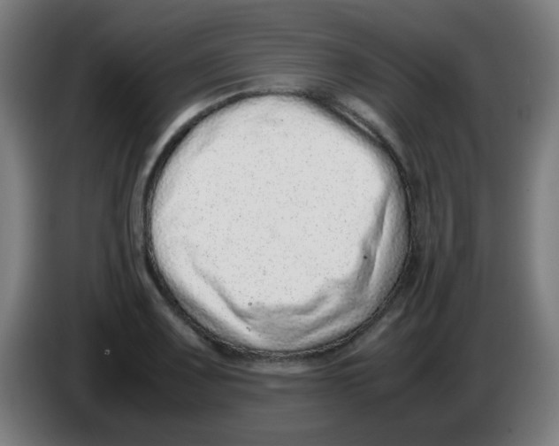 X0000086241083200704261911