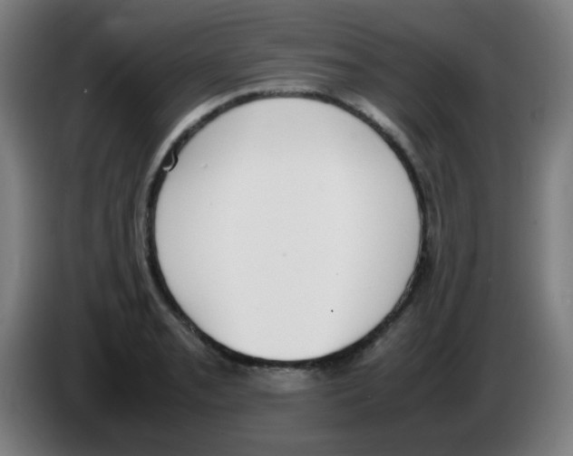 X0000086241085200704261911