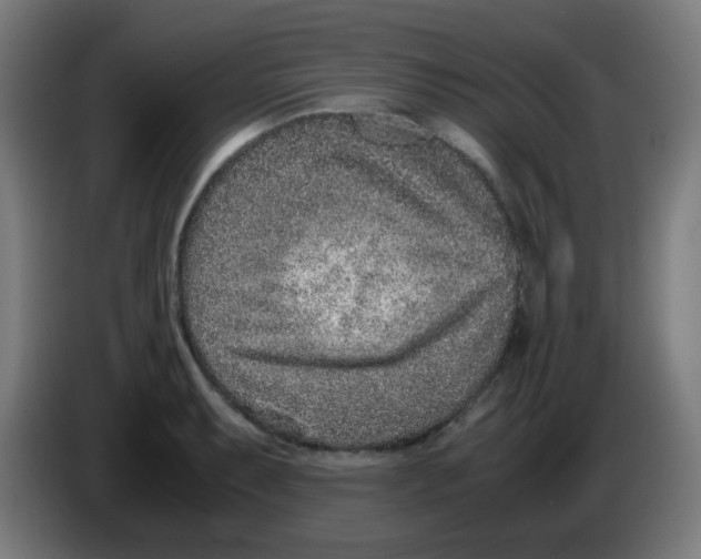 X0000086241087200704261911