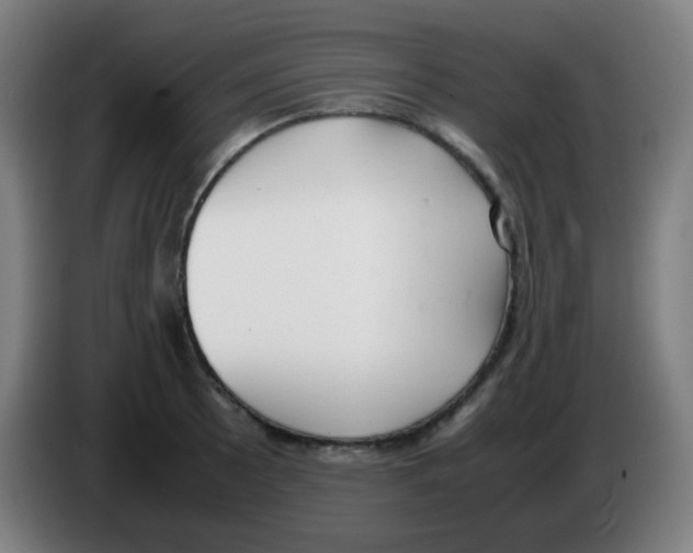 X0000086241089200704261911