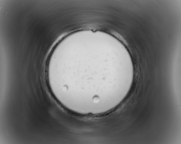 X0000086241091200704261911