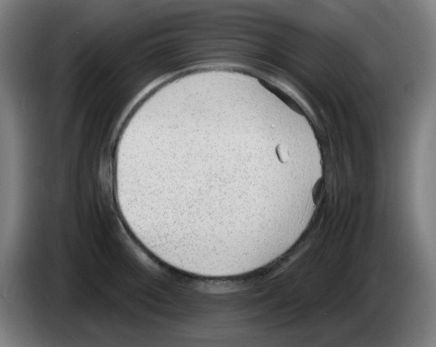 X0000086241092200704261911