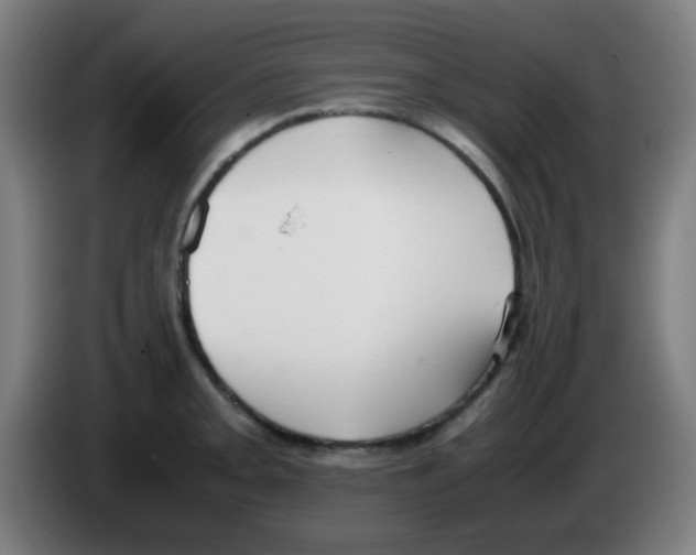 X0000086241093200704261911