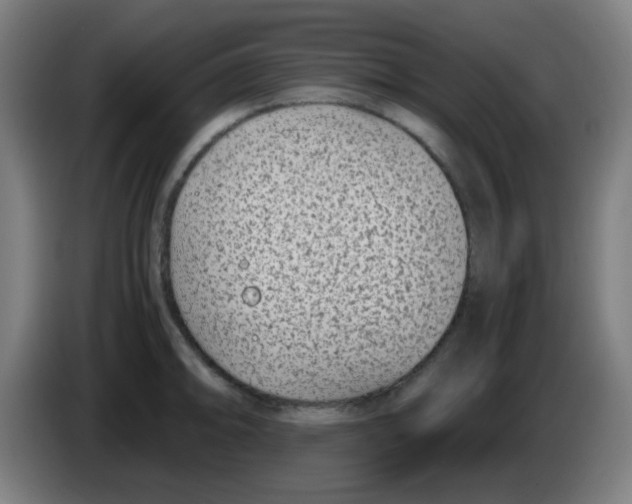 X0000086241094200704261911