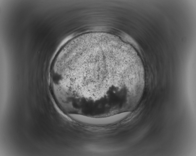 X0000086241095200704261911