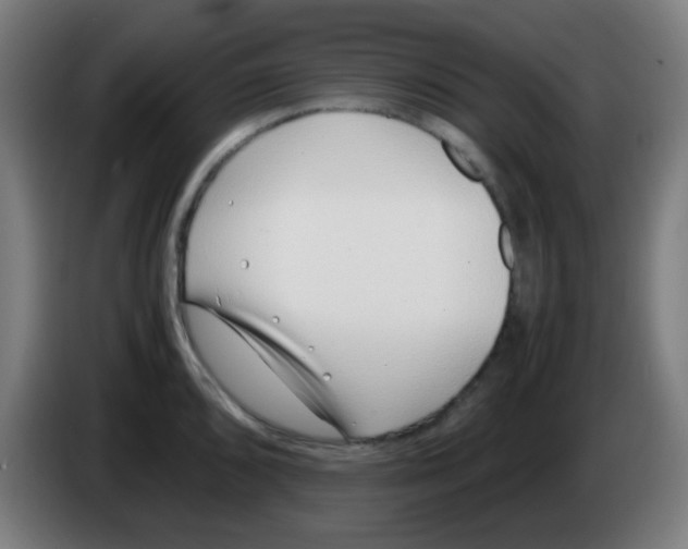X0000086241096200704261911