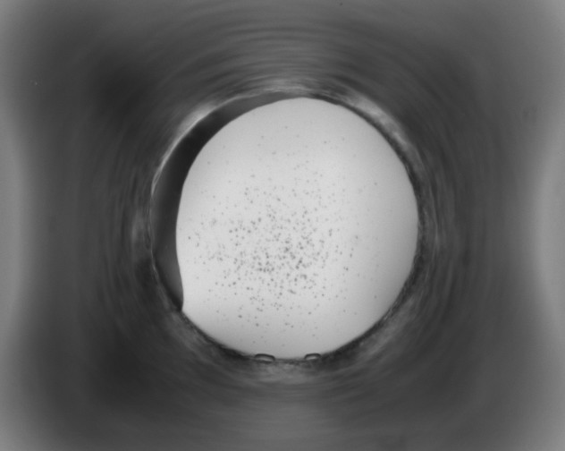X0000086241097200704261911