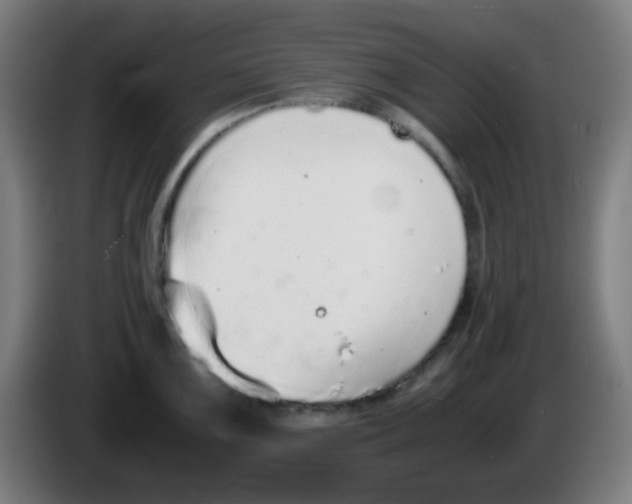 X0000086241099200704261911