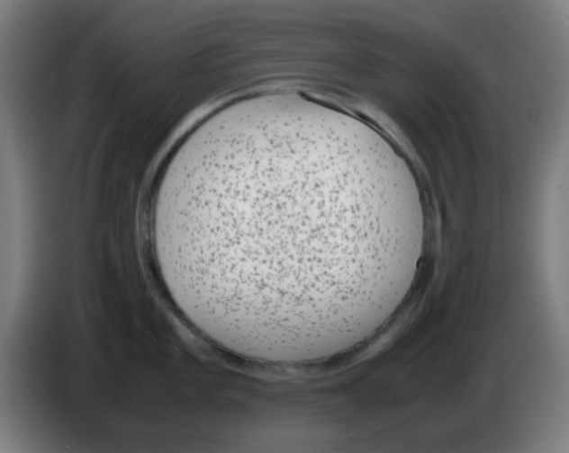X0000086241101200704261911