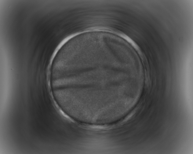 X0000086241102200704261911