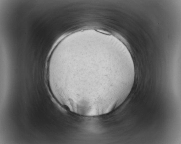 X0000086241103200704261911