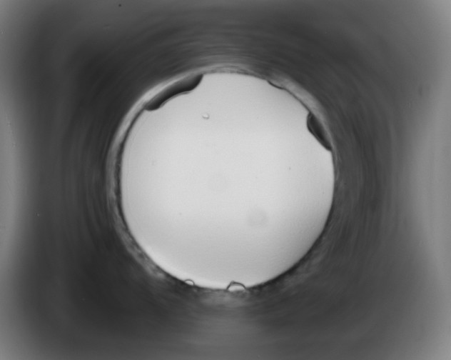 X0000086241104200704261911