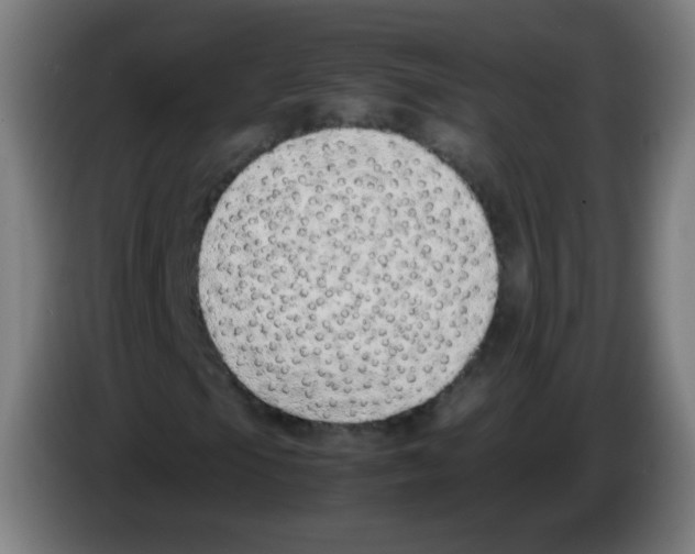 X0000086241105200704261910
