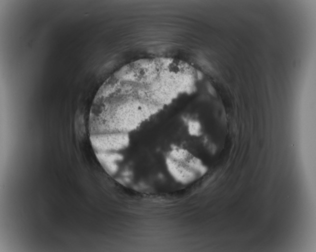 X0000086241106200704261910