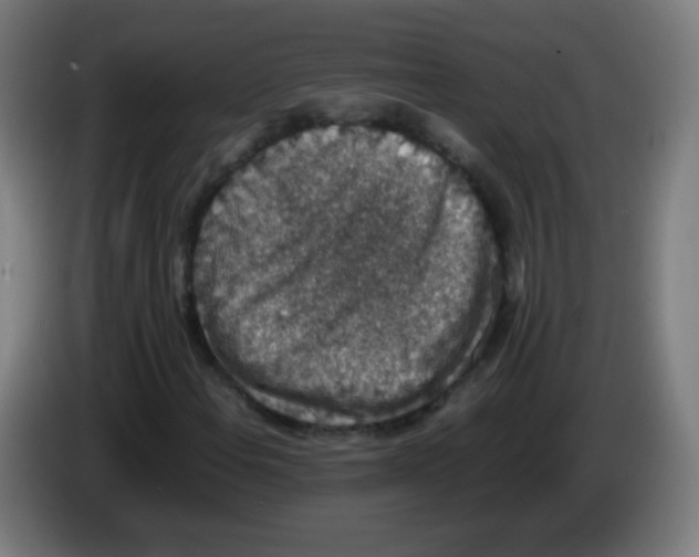 X0000086241108200704261910