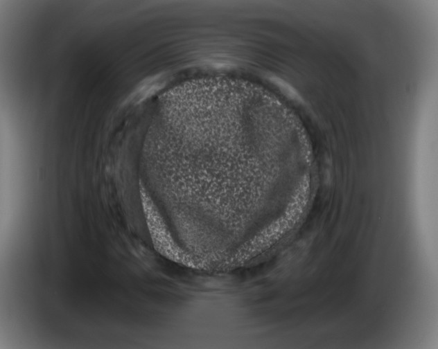 X0000086241110200704261910