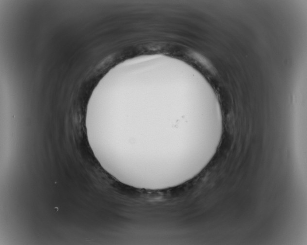 X0000086241111200704261910