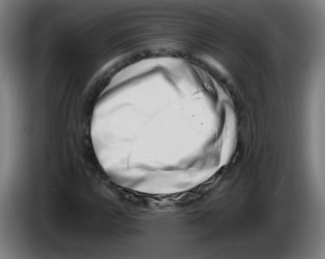 X0000086241112200704261910