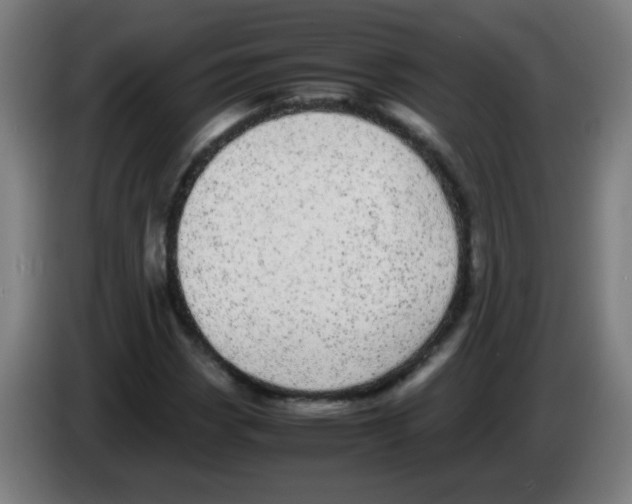 X0000086241113200704261910