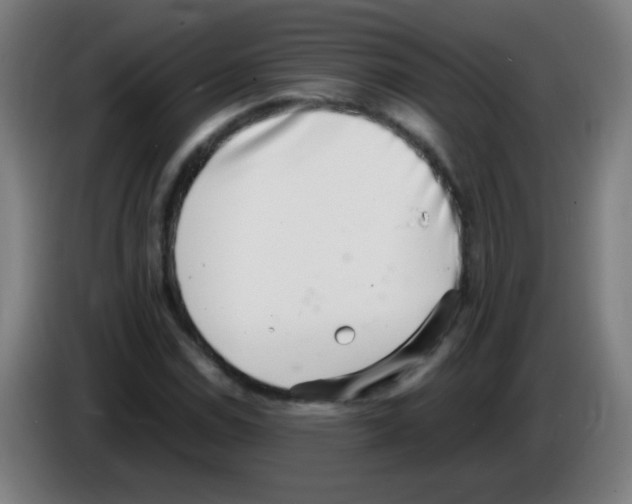 X0000086241114200704261910