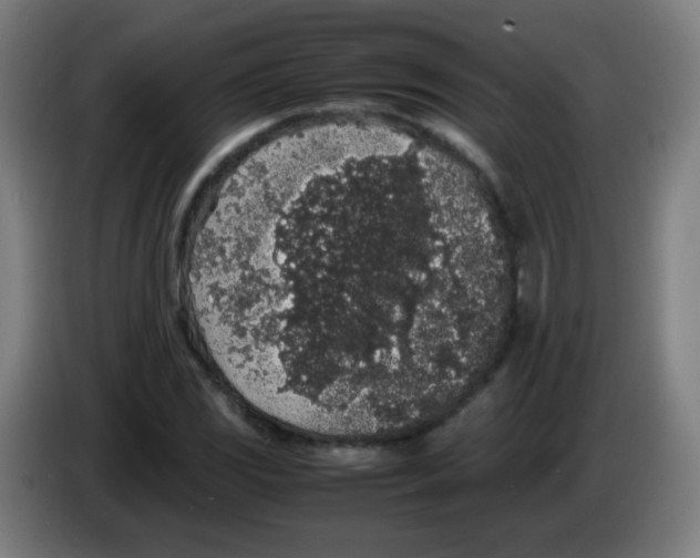 X0000086241117200704261910
