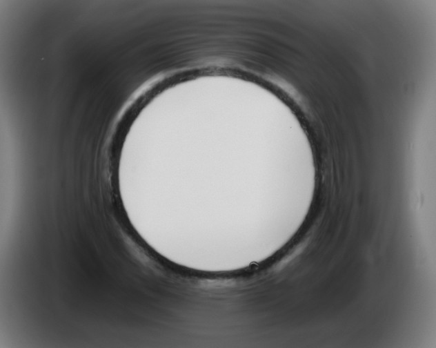 X0000086241118200704261910