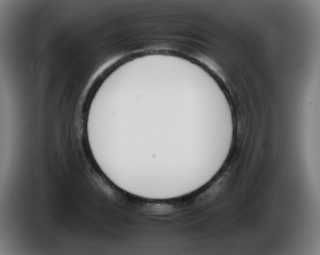 X0000086241119200704261910