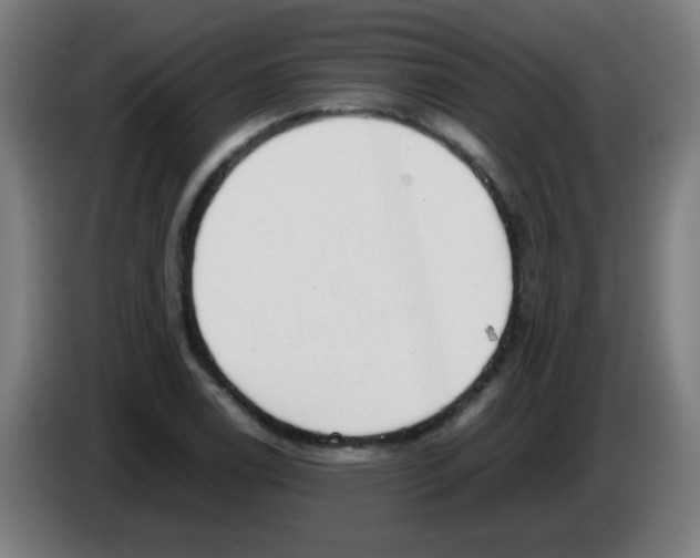 X0000086241122200704261910