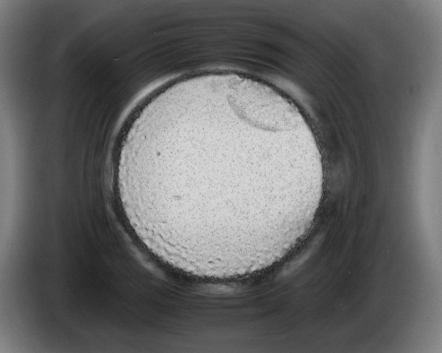 X0000086241125200704261911