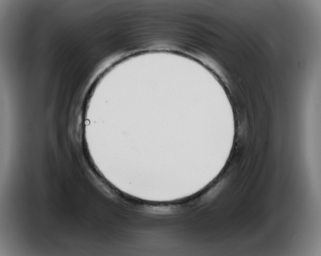 X0000086241126200704261911