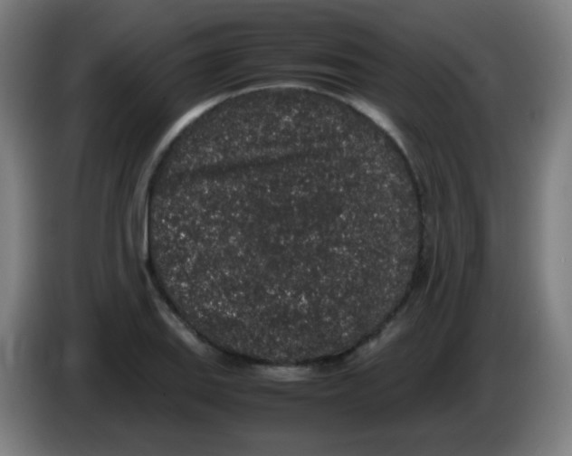 X0000086241127200704261911