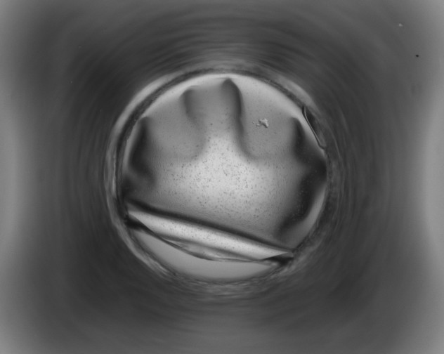 X0000086241128200704261911