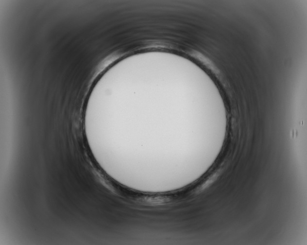 X0000086241129200704261911