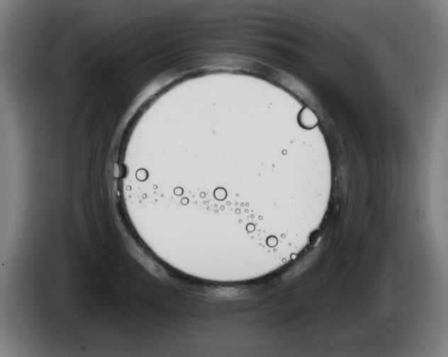 X0000086241130200704261911
