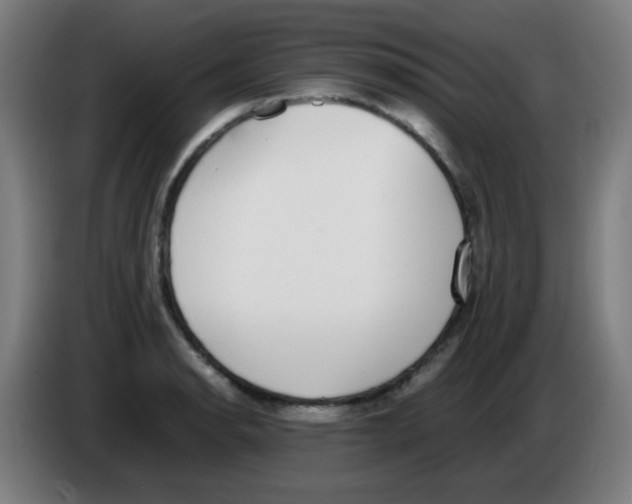 X0000086241134200704261911