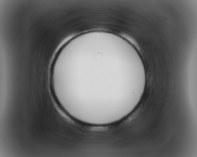 X0000086241135200704261911