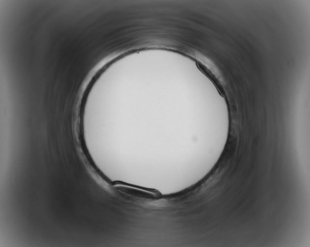 X0000086241136200704261911