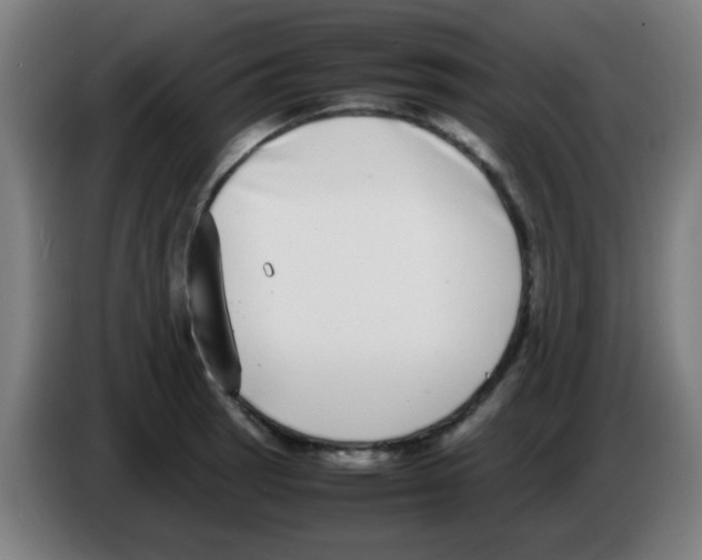 X0000086241137200704261911