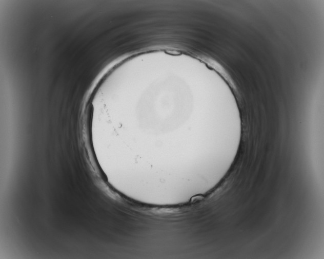 X0000086241140200704261911