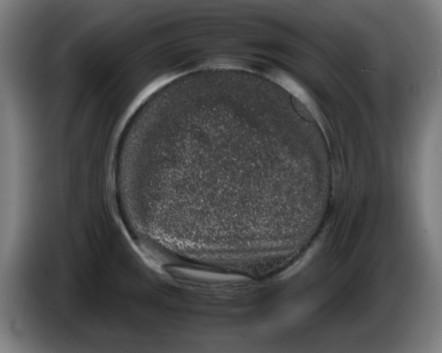 X0000086241141200704261911