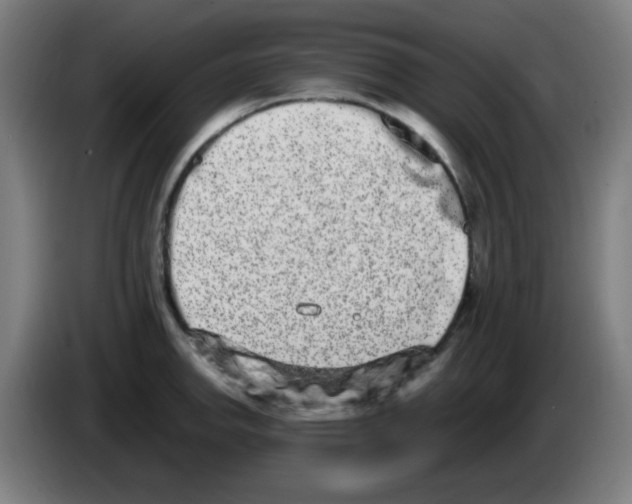 X0000086241142200704261911