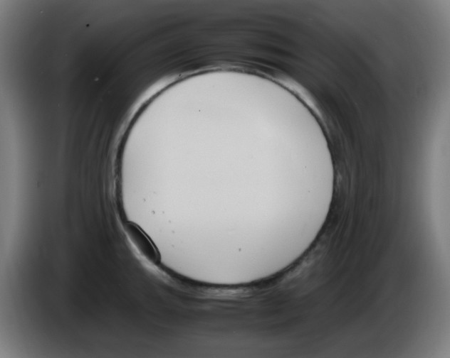 X0000086241143200704261911