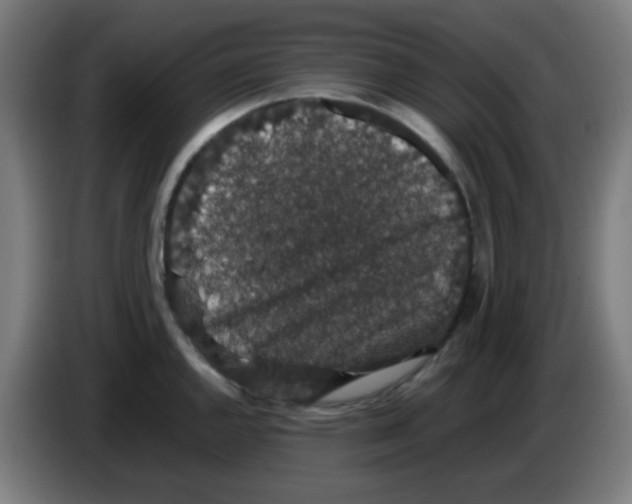X0000086241144200704261911