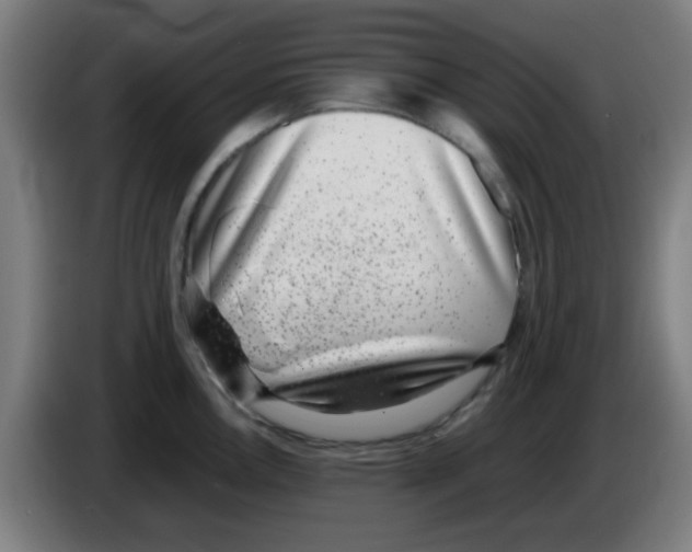 X0000086241146200704261911