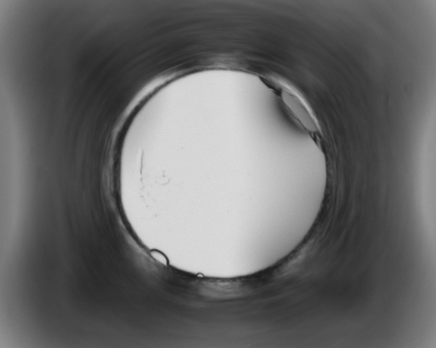 X0000086241147200704261911