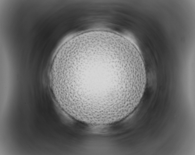 X0000086241150200704261911
