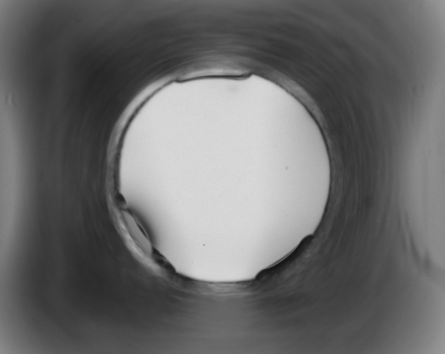 X0000086241152200704261911