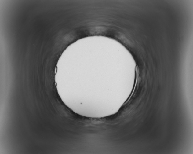 X0000086241153200704261910
