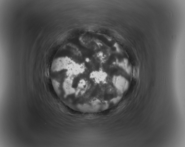 X0000086241155200704261910